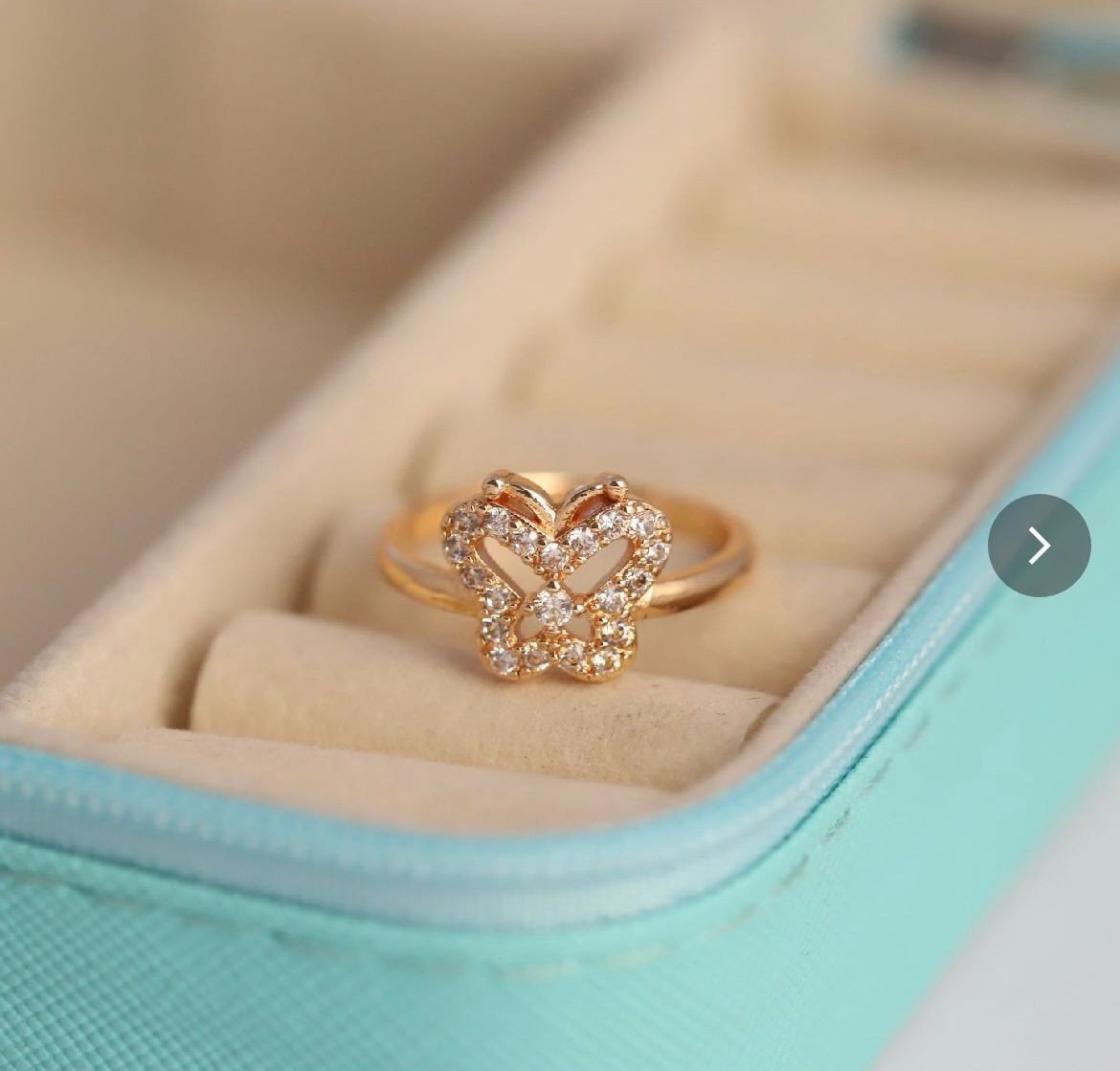 The Flutter Silhouette Ring